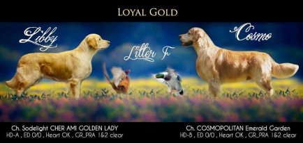 7c98ca92167cc9aa9d300e8262827a5c_434