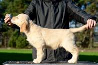 7cf43c912c270c2c4046e83988fe844c_195x130_fill