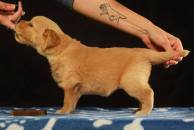 7da1240bf0e737443bcca57a634d5236_194