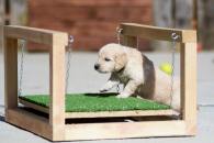 7db889f9450ad8eaf57a90350a644449_195x130_fill