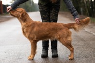 7dfbc307fd268af9f08652fbe46d7781_195