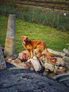 7e777b12854b379cd4a2504ad8057c69_138x183