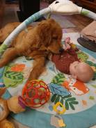 7f005249b2fcb1fd969e991316d5e707_138x184_fill