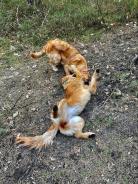 7f0d047a9e80113060d01b9ebe3b7256_138x184_fill