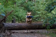 7f8a1f8fac7edcbe737ee7c9364005cc_195x130_fill