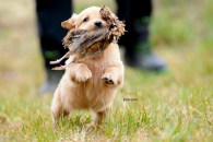 7fa9c065a7b07c37c3b110b563872a02_195x130_fill