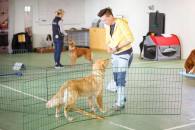 7fb104e8f8dae68af3fc59dd2f30f680_195x130_fill