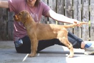 7fb4e06a0f7d88865cd70dad4903e8c8_195