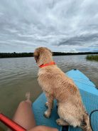 8045ef1b3a37044e13d2b1d0e96ba3e6_138x184_fill