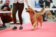 80a8666d7e346b186a312a664a718f63_195