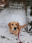 80e0c9f377b37b806b94e5d358357135_138x184