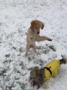 80e67bb74e4bc7cf319b00c4c7419d90_138x183