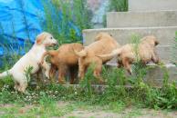 811076db81923e95ea03761bca840793_194