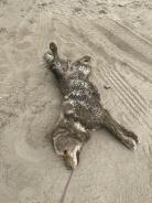 813f9600eaec8dc9f1d6c2f3ec6e2906_138x184_fill