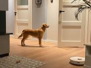 81a0feb17a77f383d1e4c8e5222357a1_184x138_fill