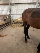 81eb52dcc498a28116e6680b60e78ff9_138x184_fill