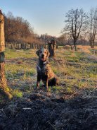 82153faa158a9a978b71d864f87a44c7_138x184_fill