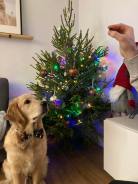 821d33d667944463f133eaa8aba020df_138x184_fill