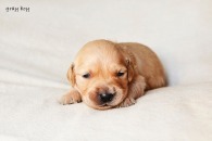 821f9ad582ec20154959da527be12704_195