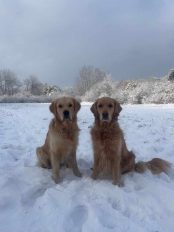 82227da828f90a3fbfe87a219c332094_174x232_fill