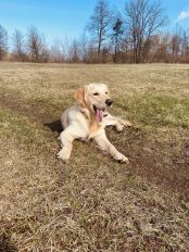 82414cce62850f59c725ed98061ea85f_174x232_fill