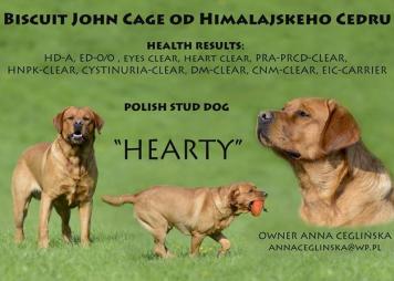 827e260dc6f366767b755d56fac1f61a_356