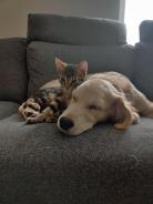 82a38d12d54988b533f5ee67cec7b59d_138x184