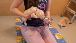 82c0cdc2d22e22109c6dfbdbbde28153_266