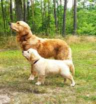 82ce41e155176c5df9325f8971f6bd96_192x209