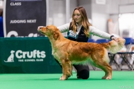 82e50ad16799048b2db17bbf02228c90_195