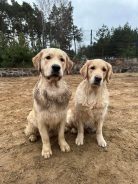 8314675a6cda0d5a59928ccf22294c49_138x184_fill