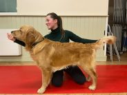 838e774b2b025f39c96b86744274c72f_184x138_fill