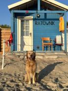 83e7caa94ef2d799a597b9a1e49ab8af_138x184_fill