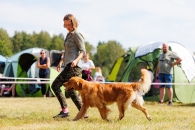 83f996558ebe9203cf7432738a2f709c_195