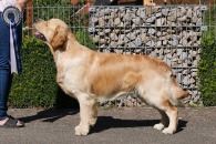 844c706e5d9dce59397b36568eaf3ee8_195