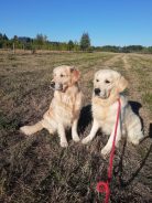 846e48886f148f93f45ceb2c33a77d85_138x184_fill