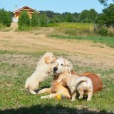 8492d5692473ce8ad5169b7335670c1a_160x160_fill