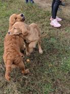 84a28d891edc031aa95cb5ff8158a062_138x186