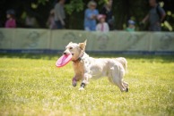 84fcac0aad86caff5abe03e7852af3b4_194