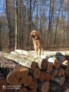 85439ccc5324636626fb592395aaecf3_138x184