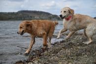 8548ae21953ee1ea9afb425e00be719d_195