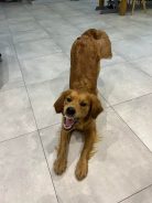 858b4afa5deb1bec18f73758c0bb38cb_138x184_fill