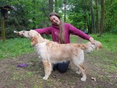 85b6fe64a9e560bad4f1edb7fd618081_232x174_fill