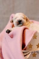 85f12bcbb9ca886c75d186fc9cd25b67_130x195