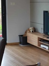 85f8417dceae6c49f0518b889844e420_174x232_fill