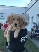 85fb9d4b13baaf6127c3b6a118f58a6a_138x183