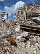 86aa8741f1ac47e8006b6ed3b4622fab_138x184_fill