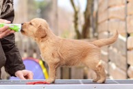 86cf3ecbd6230464b7e51d952b22b6e5_194