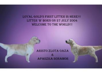 8700f70edf1af75a73c4d36abd966ae3_355