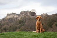 8759228a103537d6e5846501a7a2b473_195